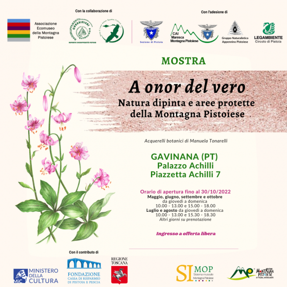 Mostra in corso a Palazzo Achilli (Gavinana, PT) – “A onor del vero. Natura dipinta e aree protette della Montagna Pistoiese”